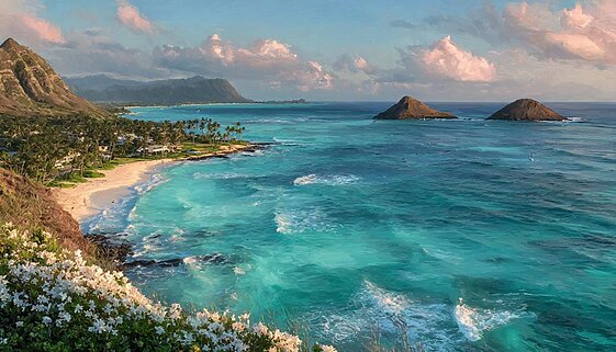 ハワイの美しい海岸線とターコイズブルーの海。断崖と白い砂浜が広がる絶景スポット。