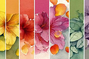 _hawaiian-island-colors _hawaiian-island-colors