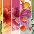 _hawaiian-island-colors