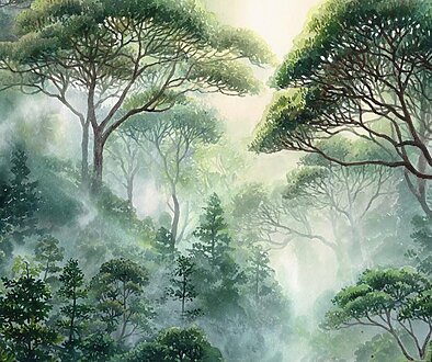 hawaii-forest-mana-memory